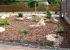 DSCF1567.jpg