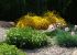 DSCF1816.jpg